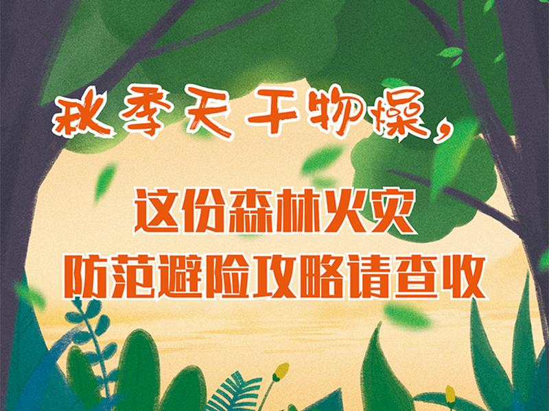 小普魚應急科普丨秋季天氣干燥，這份森林火災防范避險攻略請查收